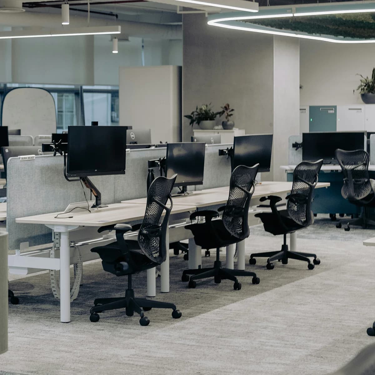 Workplace & Employment Litigation