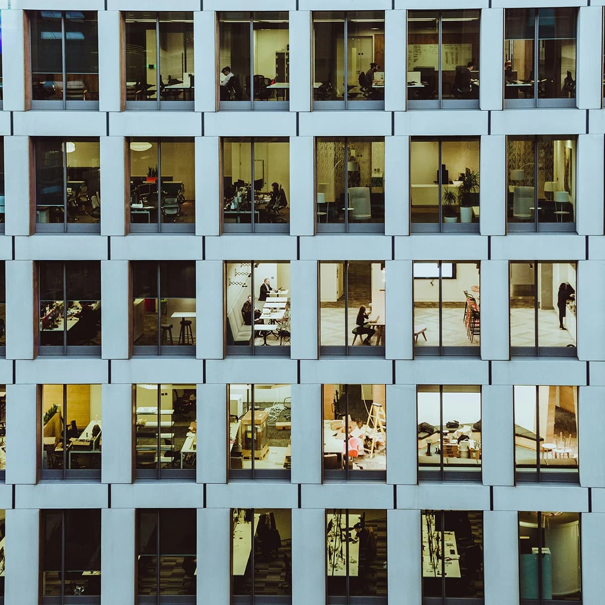 Workplace & Employment
